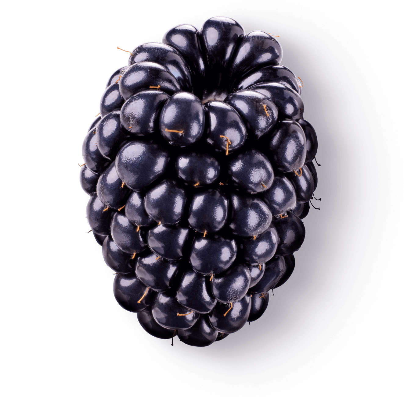 berry