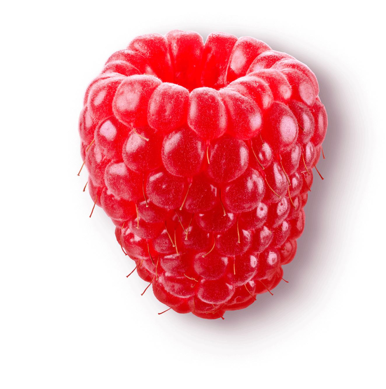 berry