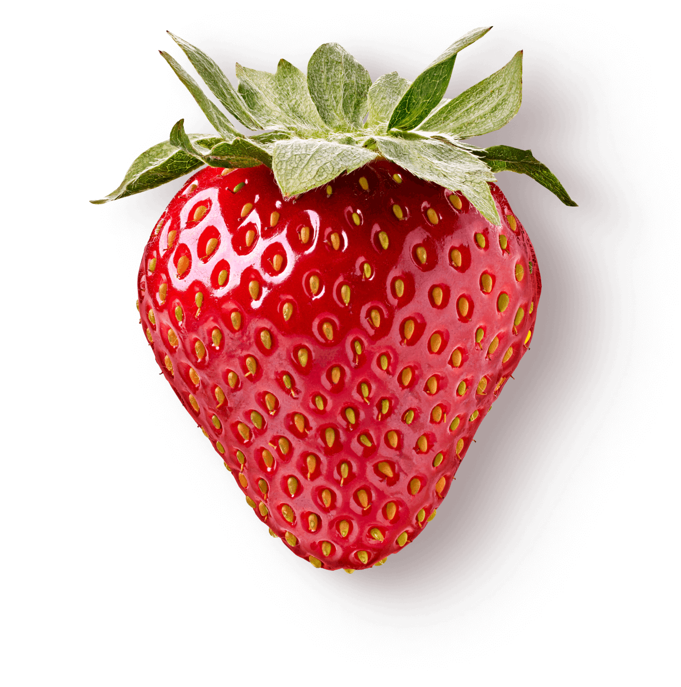berry