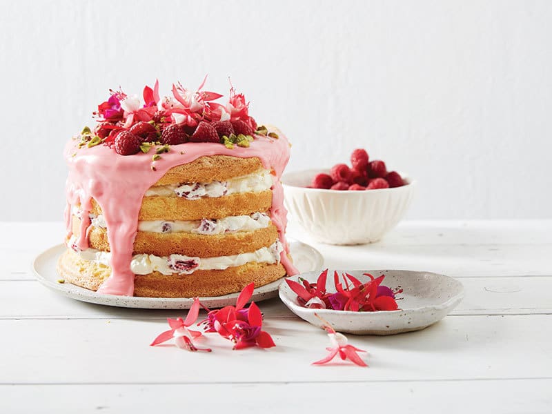 Raspberry Cake - Driscolls