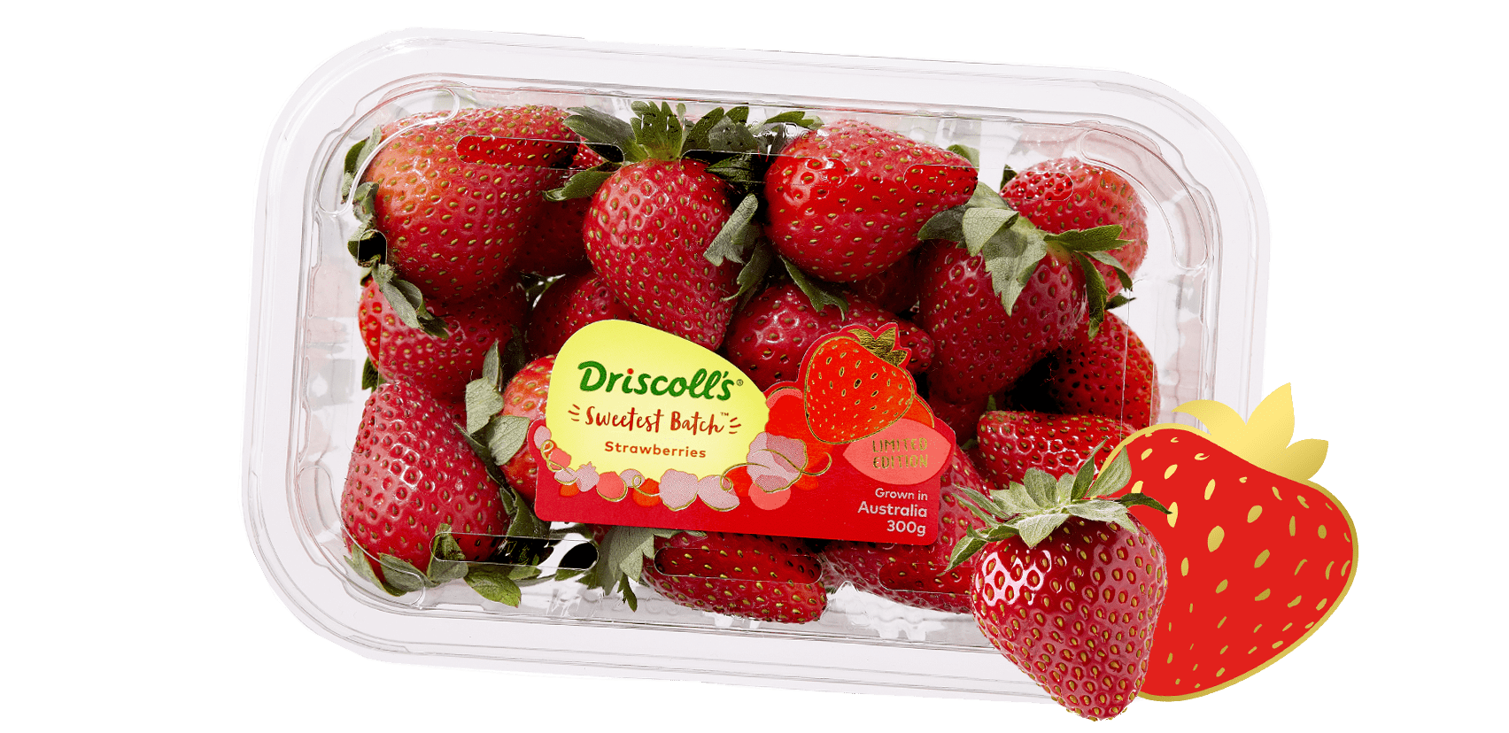 Driscoll's Australia logo