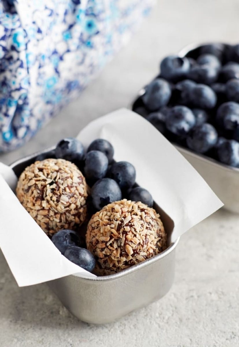 Blueberry Bites