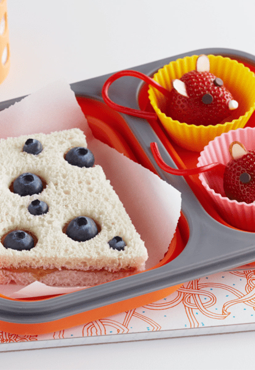 Mouse and Cheese Bento