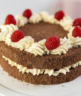 Raspberry Lamington Cake