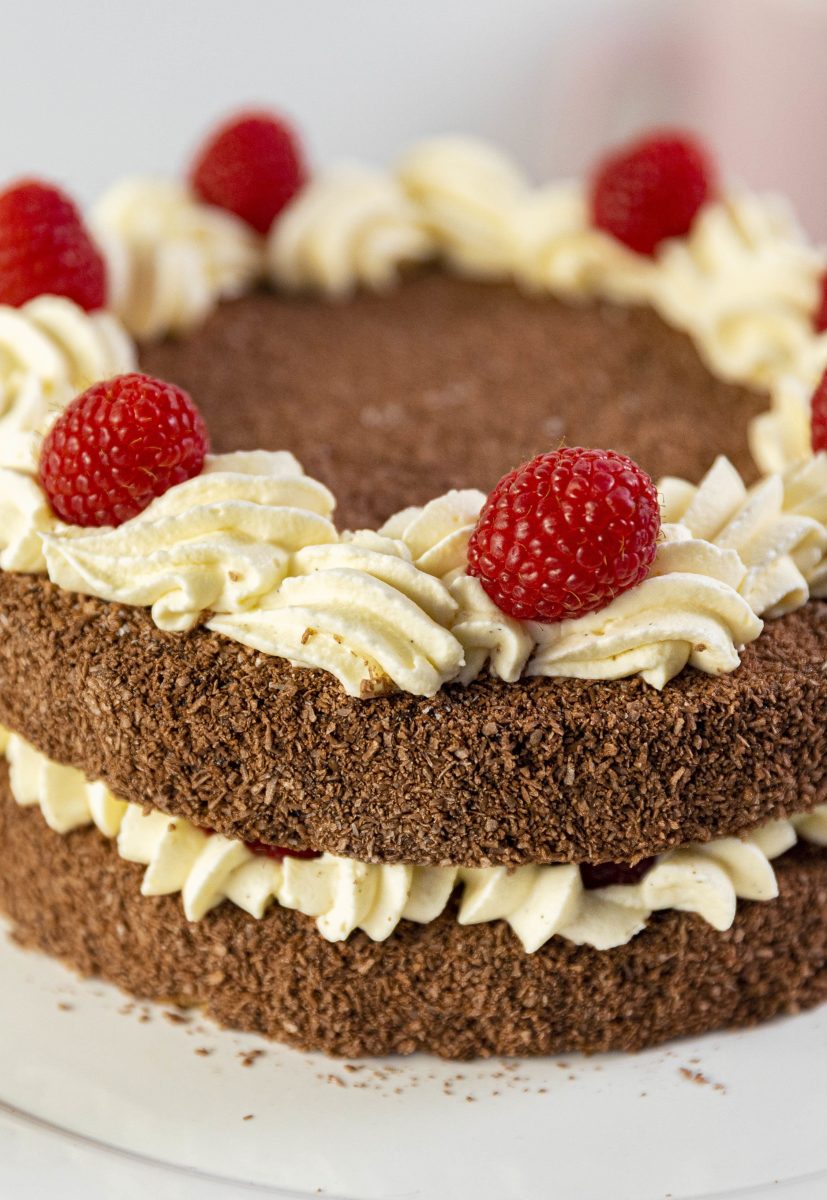 Raspberry Lamington Cake