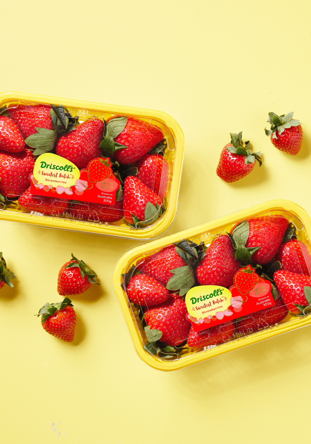 Sweetest Batch Strawberries | Bright, Bold & Sweet | Driscolls