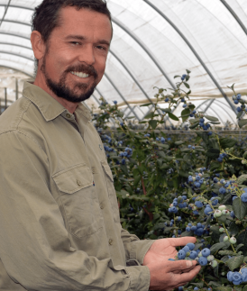 Blueberry Cultivation Unveiled: Insights from Experienced Grower, Brad Hocking