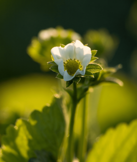 6 Ways to Start the Week Out Right in Autumn