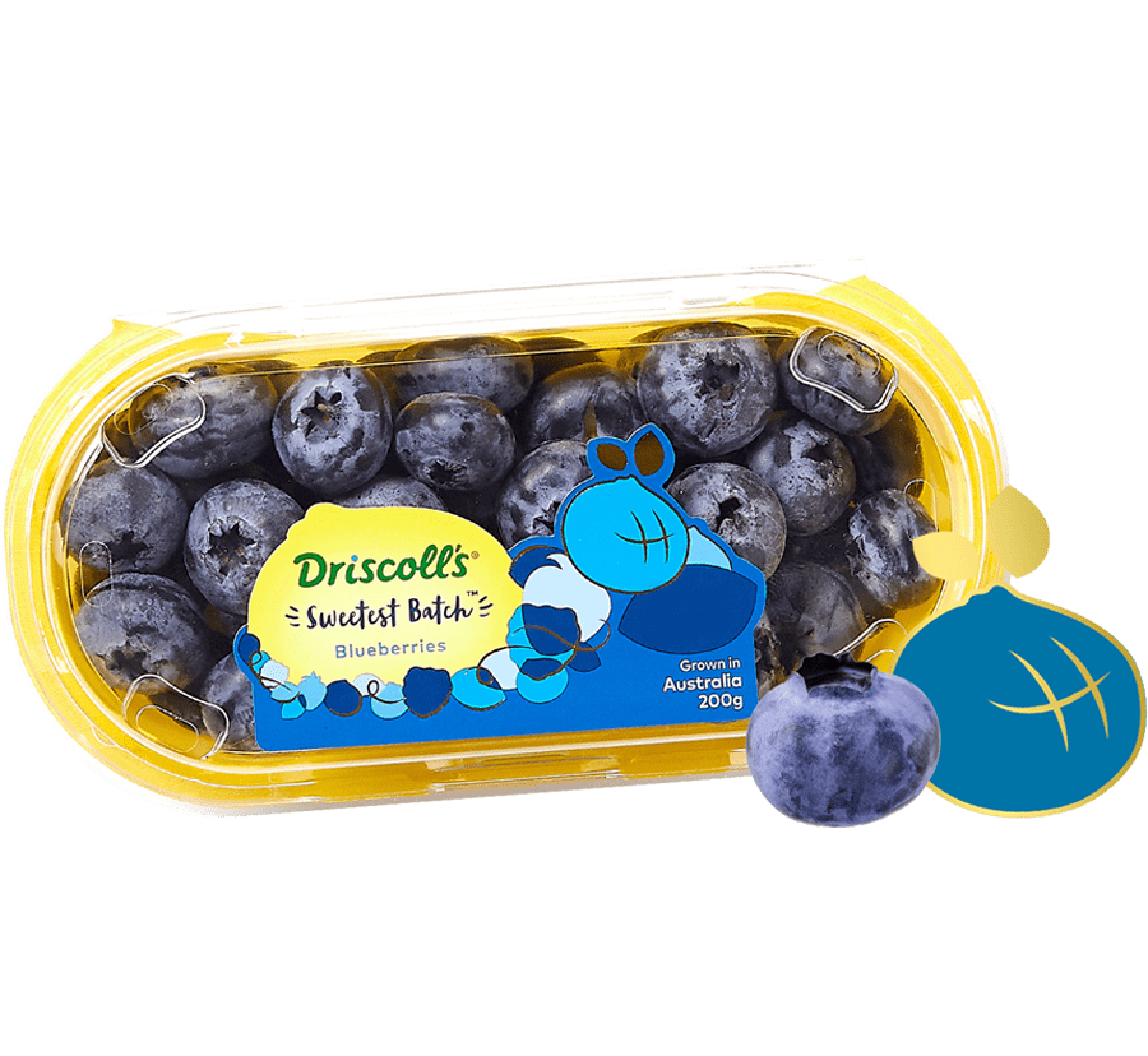 Sweetest Batch Blueberries | Perfectly Sweet & Juicy | Driscolls