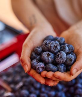 How Blueberries Help in the Fight Against Diabetes