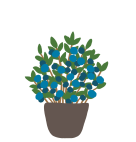 Growers