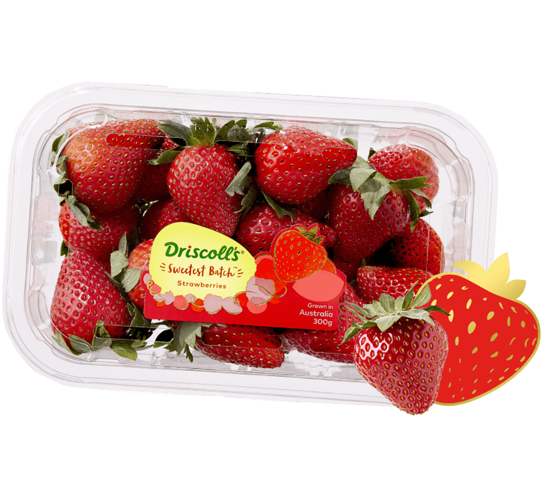 Sweetest Batch Strawberries | Bright, Bold & Sweet | Driscolls